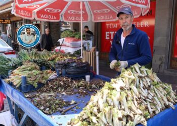 ‘Ma nê karî nêkerê ma ça ra bîyarê?’