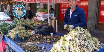 ‘Ma nê karî nêkerê ma ça ra bîyarê?’