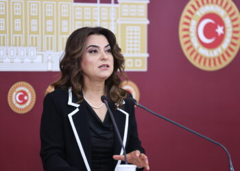 Gulistan Kiliç Koçyîgît: Aktorê çareseriyê hê jî tecrîdkirî ye