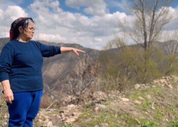 ‘94î de bombayî dayî bananê ma ra, kerdî têbin û têser’