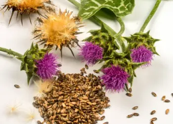 Dermanê gelek derdan: Kelx