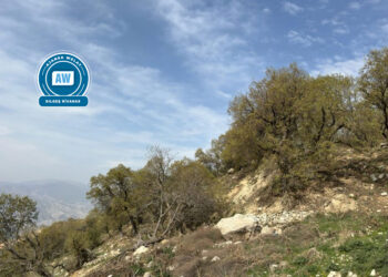 Koyê Cûdî bi heybet merdim pêşwazî keno