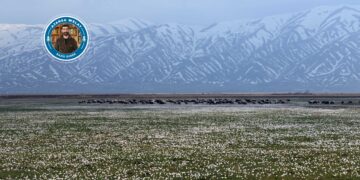 Li deşta Geverê mizginiya biharê