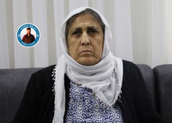 Gul bi axa Amarayê geş kirin