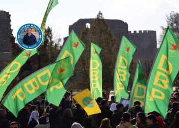 DBP dest bi pêngava rêxistinkirinê dike