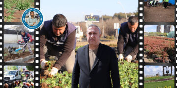 Şaredariya Bajarê Mezin Amedê dixemilîne