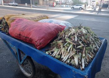 Kengerê Qerejdaxî şaristanî xemilnenê