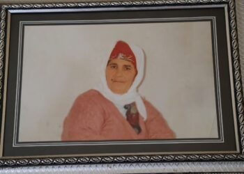 ‘Ma aştî do bi komelo demokratîk tacîdar bikerê’