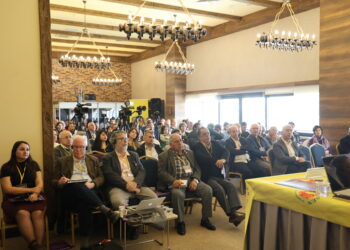 ‘Pir zimanî û çandî teminata neteweya demokratîk e’