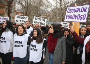 Ji ber stranên Kurdî 10 meh cezayê hepsê dan siyasetmedaran