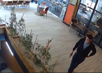 Çawişekî pispor welatiyekî kuşt: Ev hovîtî ye