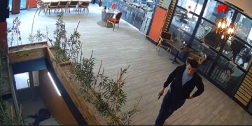 Çawişekî pispor welatiyekî kuşt: Ev hovîtî ye