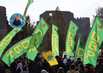 DBP dest bi gama rêxistinkerdişî kena