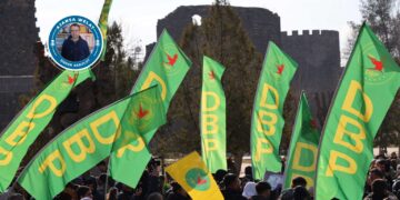 DBP dest bi gama rêxistinkerdişî kena