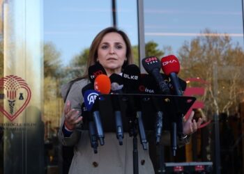 Ayşegul Dogan: Hîna emelîyat nêqedîyo