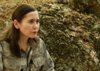 Hêlîn Umît: Îqtîdar raşta zî demokratîkbîyayîşê Tirkîya wazeno?