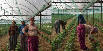 Kedkarê zîretî: Wa keda ma bêra vînayîş