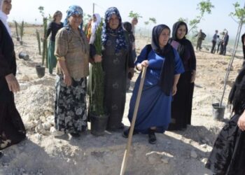 Semedê wesîleya 4ê Nîsane welatijê Mexmûrî 200 şitilî dayî ro