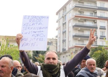 Meşyoxê Amarayî bi meşî ameyê warê festîvalî