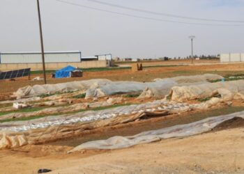 Rojawan de citkaran dest bi ramitiya sebzeyan kerda