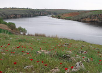 Rengê biharê hêzê dide mirovan