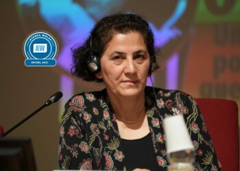 ‘Sendîka û rêxistinên Ewropayê ji Tirkiye bawer nakin’