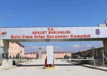 Girewte Yilmaz nêno veradayene û dermankerdene