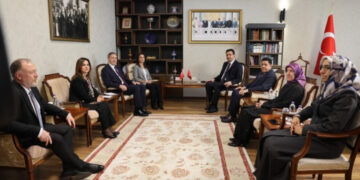 DEM Partî avakirina komîsyona Meclisê ya ‘bi rayeya tam’ pêşniyar kir