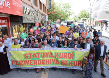 22 saziyan li Wanê bang kirin: Divê Kurdî bibe zimanê perwerdehiyê