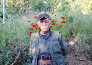 Raywanê heqîqetî: Alî Haydar Kaytan