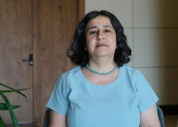 Amed de do “Konferansê Parlamenteranê Cinîyan ê Kurdan” bêro organîzekerdene