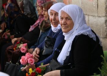 Dayikan ji Amarayê banga aştiyê kirin