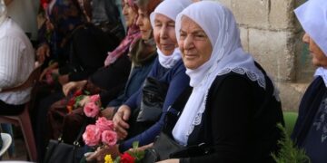 Dayikan ji Amarayê banga aştiyê kirin