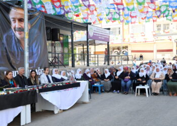 Amed de seba Sirri Sureyya Onderî mewlid ame dayene