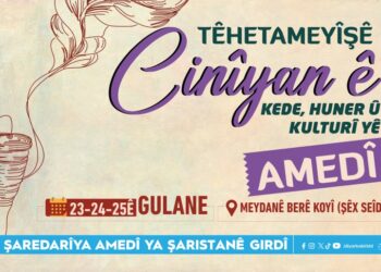 Bernameyê Têhetameyîşê Kede, Kultur û Hunerî yê Cinîyanê Amedî