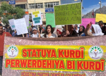 ‘Mafê çandî, zimanî û nasnameyî yên kurdan  mafên herî rewa ye’