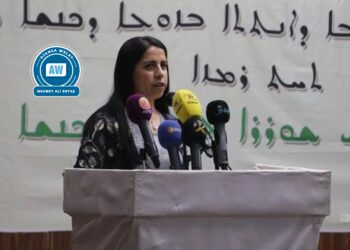 Jina bi rêxistinkirî mîsogeriya Civaka Demokratîk e