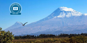 Ku quntar bibe komîtan!