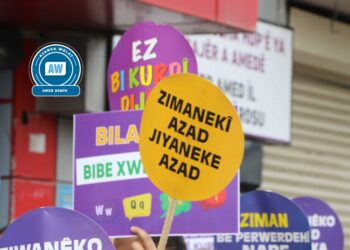 ‘Ji bo ziman divê xala 42emîn a destûrê bê guherandin’