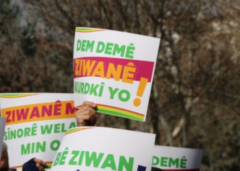 ‘Ma wayîrê ziwanê xo vejîyê’