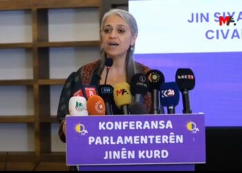 ‘Ma destûr nêdanîme, qederê ma kapîtalîzmî dîyar bikerîme’