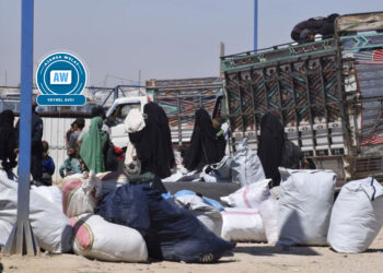548 malbat ji Kampa Holê derketin