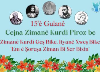 Statuya Kurdî Perwerdehiya Bi Kurdî