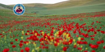 Bûkaniyan xweza û zevî xemilandin