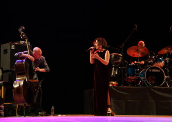 Aynûr Dogan li Amedê konserek li dar xist