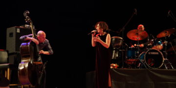 Aynûr Dogan li Amedê konserek li dar xist