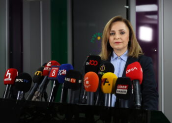 Ayşegul Dogan: Divê Meclis bi berpirsiyara xwe rabe