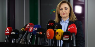 Ayşegul Dogan: Divê Meclis bi berpirsiyara xwe rabe