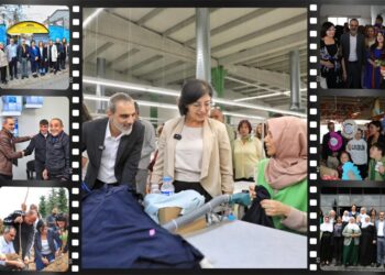 Kultur û ziwan vîrê şarêkî yê