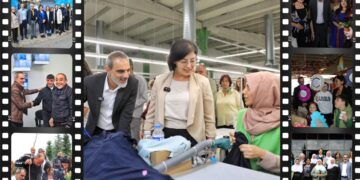 Kultur û ziwan vîrê şarêkî yê